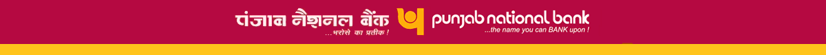 Punjab National Bank Logo